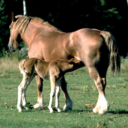 ������ ���� ���� ����� ����